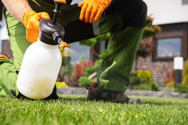 Best Best Pest Control Companies  in Miami Beach, FL