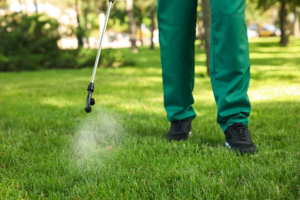 Pest Control Cost in Miami Beach, FL