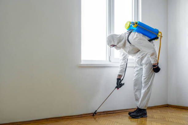 Trusted Miami Beach, FL Pest Control Experts