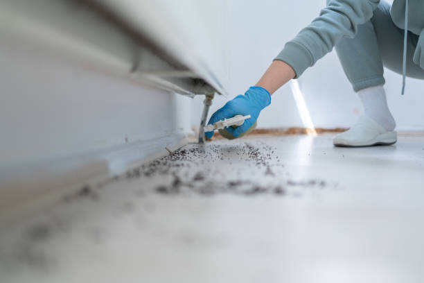 Best Best Pest Control Companies  in Miami Beach, FL